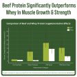 Grass Fed Beef Protein Powder (Chocolate) Discount