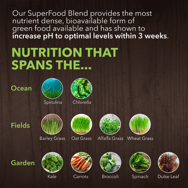 Alkalizing Greens - Fermented Superfood Powder Blend Online Sale