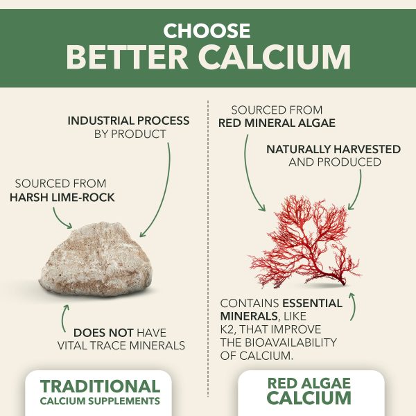 Vegan Plant-Based Calcium - with Magnesium, D3, & K2 Sale