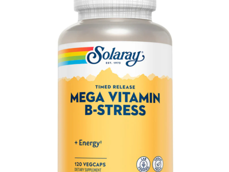 Mega Vitamin B-Stress, Timed-Release Supply