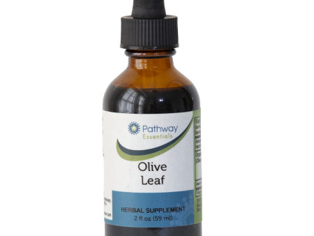 Olive Leaf For Discount