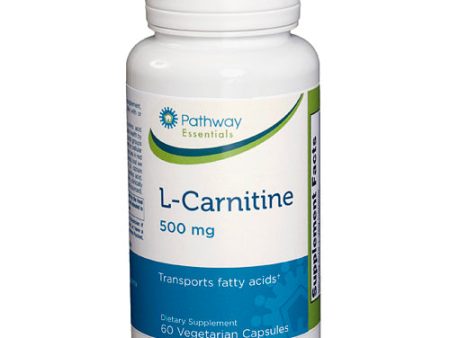 L-Carnitine 500 Mg Supply