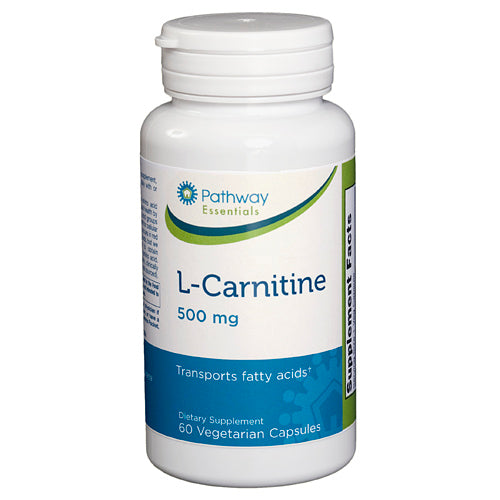 L-Carnitine 500 Mg Supply