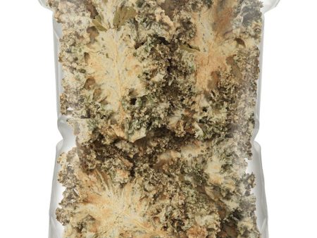 Kale Chips - Sea Salt & Vinegar 1lb Online