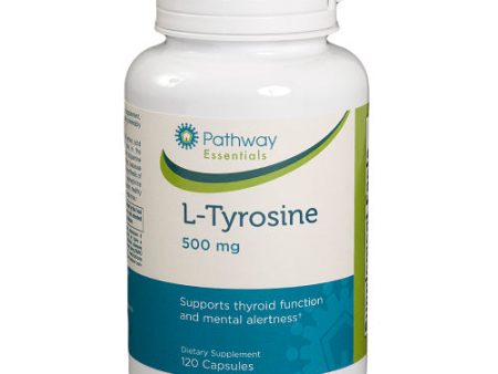 L-Tyrosine 500 Mg Supply