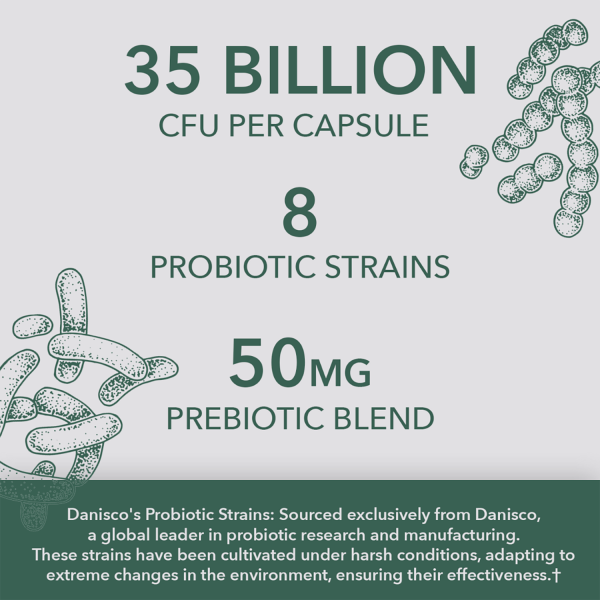 Vegan Probiotic - 35 Billion CFU, 8 Strains Online