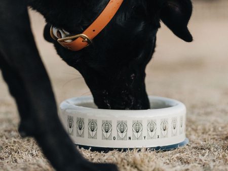 Mucha Enamel Pet Bowl Hot on Sale