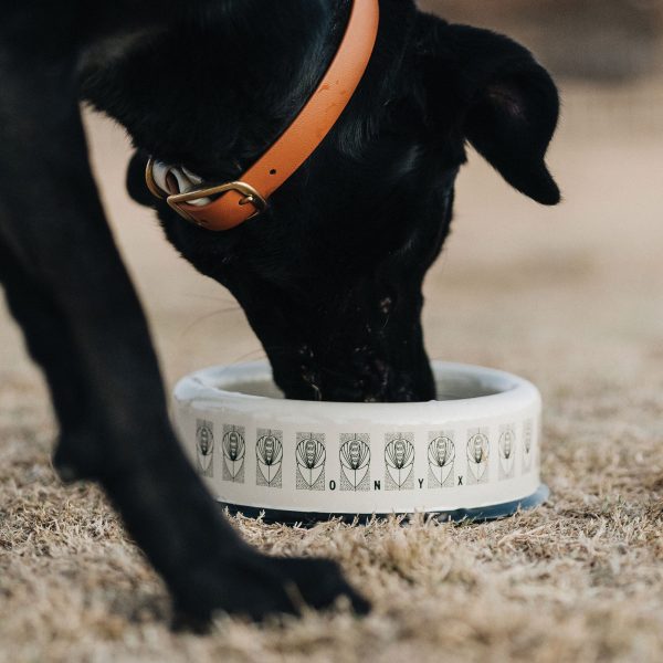 Mucha Enamel Pet Bowl Hot on Sale